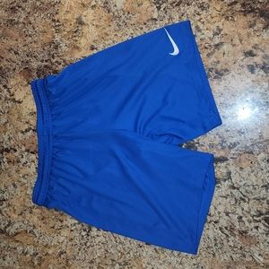 Blue Nike Dri-Fit Shorts